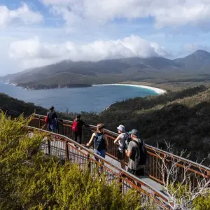 Explore Tasmania Adventure (including Dove Lake) for 6 days with Intrepid Travel and discover unforgettable experiences - Photo 6
