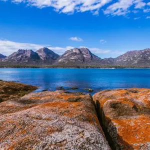 Explore Tasmania Adventure (including Dove Lake) for 6 days with Intrepid Travel and discover unforgettable experiences - Photo 11