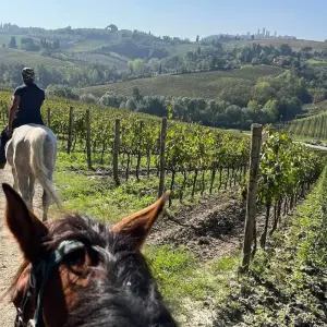 Explore Tuscany Thrills: A 3-Day Escape of Wine, Relax, and Fun for 3 days with Italy on a Budget Tours and discover unforgettable experiences - Photo 6