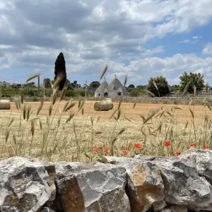 Explore Amalfi & Puglia in 8 Days! for 8 days with Italy on a Budget Tours and discover unforgettable experiences - Photo 9