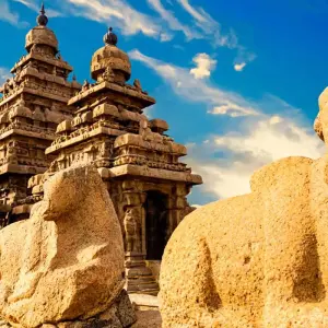 Explore India South & North (from Kochi (Cochin) to New Delhi) for 29 days with Intrepid Travel and discover unforgettable experiences - Photo 4