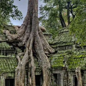 Explore Vietnam & Cambodia Adventure for 23 days with Intrepid Travel and discover unforgettable experiences - Photo 7