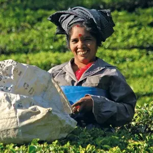 Explore Southern India (9 destinations) for 15 days with Intrepid Travel and discover unforgettable experiences - Photo 6