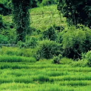 Explore Beautiful Northern Thailand for 15 days with Intrepid Travel and discover unforgettable experiences - Photo 9