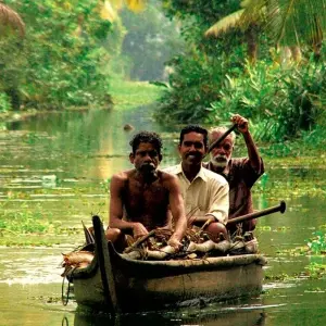 Explore Southern India (9 destinations) for 15 days with Intrepid Travel and discover unforgettable experiences - Photo 10
