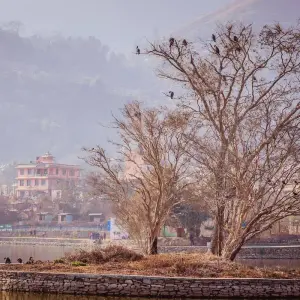 Explore Essential Nepal for 9 days with Intrepid Travel and discover unforgettable experiences - Photo 4