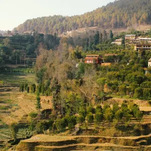 Explore Essential Nepal for 9 days with Intrepid Travel and discover unforgettable experiences - Photo 11