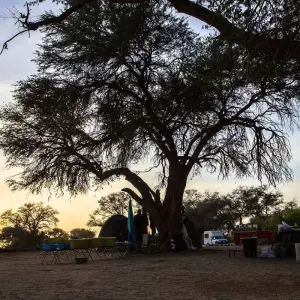 Explore Southern Africa Adventure for 30 days with Intrepid Travel and discover unforgettable experiences - Photo 4