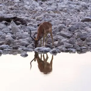 Explore Southern Africa Adventure for 30 days with Intrepid Travel and discover unforgettable experiences - Photo 10