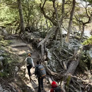 Explore Classic Hikes of Patagonia for 15 days with Intrepid Travel and discover unforgettable experiences - Photo 3