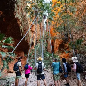 Explore Kimberley Trail for 14 days with Intrepid Travel and discover unforgettable experiences - Photo 3