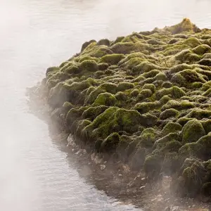 Explore Iceland's Golden Circle in Depth (11 destinations) for 5 days with Intrepid Travel and discover unforgettable experiences - Photo 5