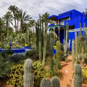 Explore A Luxurious Taste of Morocco for 13 days with Luxury Destination and discover unforgettable experiences - Photo 3