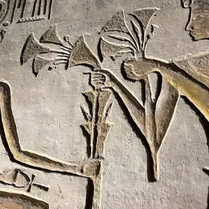 Explore Majestic Egypt: Nile & Red Sea Luxury Escape for 15 days with Luxury Destination and discover unforgettable experiences - Photo 5