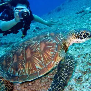 Explore Majestic Egypt: Nile & Red Sea Luxury Escape for 15 days with Luxury Destination and discover unforgettable experiences - Photo 10