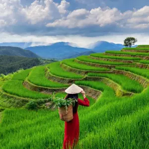 Explore Northern Thailand on 4 wheels for 5 days with MEIERS WELTREISEN and discover unforgettable experiences - Photo 11