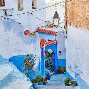 Explore Luxury Food Tour of Northern Morocco - 8 Days for 8 days with Morocco Tour Marrakech  and discover unforgettable experiences - Photo 6