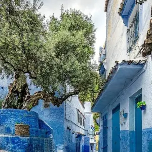 Explore Luxury Food Tour of Northern Morocco - 8 Days for 8 days with Morocco Tour Marrakech  and discover unforgettable experiences - Photo 8