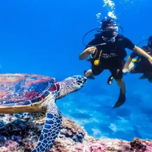 Explore Egypt’s Treasures: 13-Day Nile Cruise, Pyramids & Sharm El Sheikh for 13 days with Nilvison Egypt Tours  and discover unforgettable experiences - Photo 7