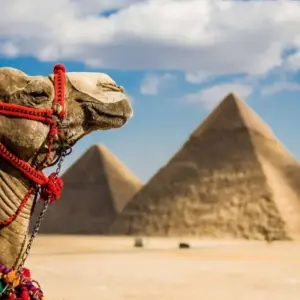 Explore The Majestic Pharaohs' Cruise for 9 days with Nilvison Egypt Tours  and discover unforgettable experiences - Photo 9
