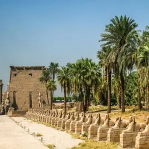 Explore Marvelous the Nile River Tour Between Luxor and Aswan – 5 Days for 5 days with Nilvison Egypt Tours  and discover unforgettable experiences - Photo 7