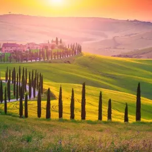 Explore Best of Italy for 17 days with Omega Tours and discover unforgettable experiences - Photo 10
