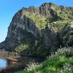 Explore Seoul Searching & Jeju 4 star - 9 days for 9 days with On The Go Tours and discover unforgettable experiences - Photo 6