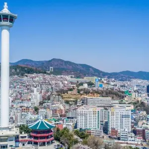 Explore Seoul Searching & Jeju 4 star - 9 days for 9 days with On The Go Tours and discover unforgettable experiences - Photo 8