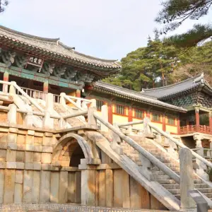 Explore Seoul Searching & Jeju 4 star - 9 days for 9 days with On The Go Tours and discover unforgettable experiences - Photo 9
