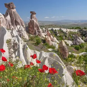 Explore Cultural Triangle of Turkey - 8 days for 8 days with On The Go Tours and discover unforgettable experiences - Photo 8