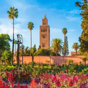 Explore Marrakech & Ait Benhaddou 5 star - 4 days for 4 days with On The Go Tours and discover unforgettable experiences - Photo 9