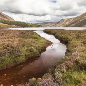 Explore Scotland Whisky Trail (Hotel) - 3 days for 3 days with On The Go Tours and discover unforgettable experiences - Photo 4