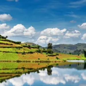 Explore Gorillas, Chimps & Nile River - 9 days for 9 days with On The Go Tours and discover unforgettable experiences - Photo 5