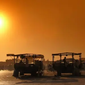 Explore Southern Morocco - 8 days for 8 days with On The Go Tours and discover unforgettable experiences - Photo 6