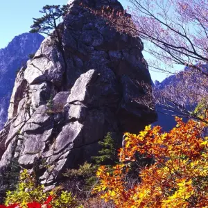 Explore Spectacular South Korea - 12 days for 12 days with On The Go Tours and discover unforgettable experiences - Photo 2