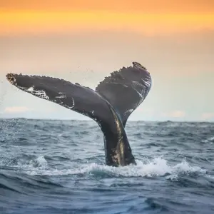 Explore Totally Iceland - 7 days for 7 days with On The Go Tours and discover unforgettable experiences - Photo 3