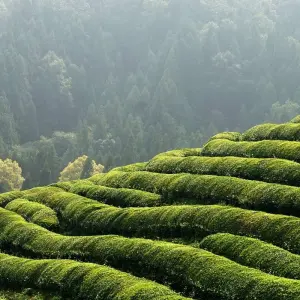 Explore Spectacular South Korea - 12 days for 12 days with On The Go Tours and discover unforgettable experiences - Photo 5
