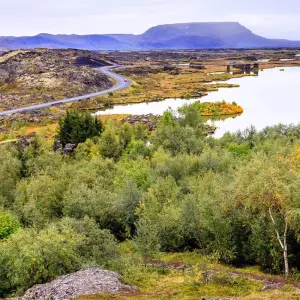 Explore Totally Iceland - 7 days for 7 days with On The Go Tours and discover unforgettable experiences - Photo 5