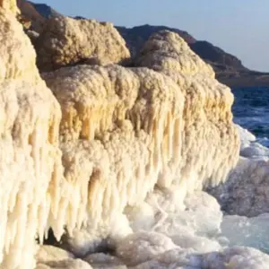 Explore Lawrence's Arabia  - 9 Days for 9 days with On The Go Tours and discover unforgettable experiences - Photo 4