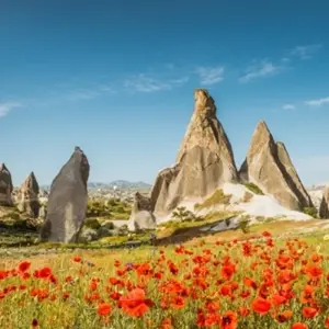 Explore Istanbul & Cappadocia - 5 days for 5 days with On The Go Tours and discover unforgettable experiences - Photo 3