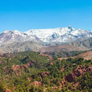 Explore Marrakech & Atlas Mountains 5 star - 5 days for 5 days with On The Go Tours and discover unforgettable experiences - Photo 3