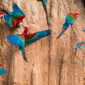 Explore Lima to La Paz - 14 days for 14 days with On The Go Tours and discover unforgettable experiences - Photo 6