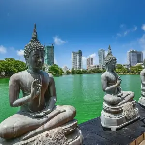 Explore Sri Lanka & the Maldives - 10 days for 10 days with On The Go Tours and discover unforgettable experiences - Photo 6