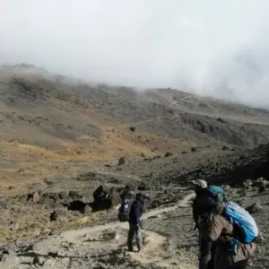 Explore Mt Kilimanjaro Climb - 8 days for 8 days with On The Go Tours and discover unforgettable experiences - Photo 4
