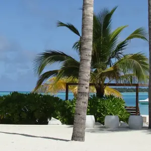 Explore Sri Lanka & the Maldives - 10 days for 10 days with On The Go Tours and discover unforgettable experiences - Photo 7