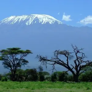 Explore Mt Kilimanjaro Climb - 8 days for 8 days with On The Go Tours and discover unforgettable experiences - Photo 5