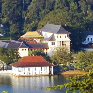 Explore Sri Lanka & the Maldives - 10 days for 10 days with On The Go Tours and discover unforgettable experiences - Photo 8