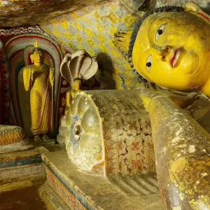 Explore Sri Lanka & the Maldives - 10 days for 10 days with On The Go Tours and discover unforgettable experiences - Photo 9