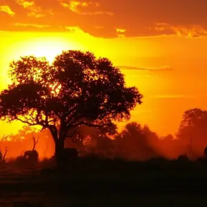 Explore Mt Kilimanjaro Climb - 8 days for 8 days with On The Go Tours and discover unforgettable experiences - Photo 7