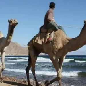 Explore Egypt Uncovered - 11 days for 11 days with On The Go Tours and discover unforgettable experiences - Photo 9